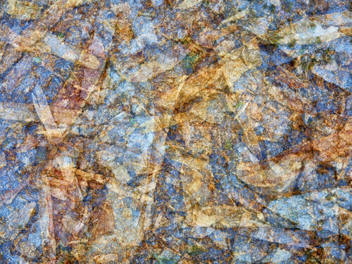 Puzzle of Life von Romy Pfeifer, Fotografie kaufen auf Singulart