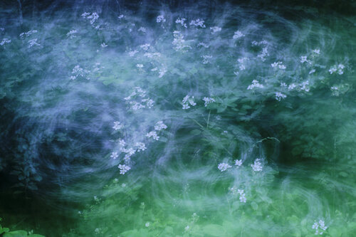 Happy Hour by Romy Pfeifer, 사진 for Sale on Singulart