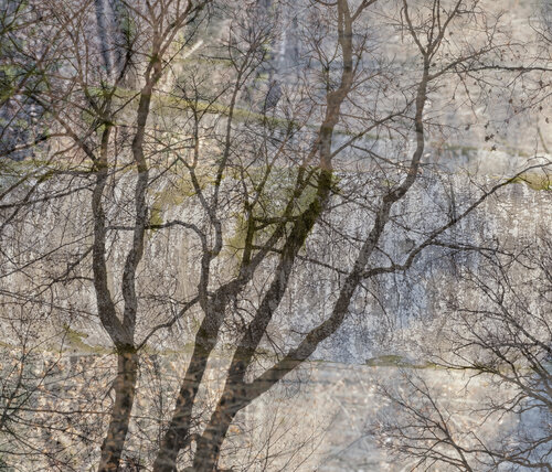 When Dreams come True Romy Pfeifer