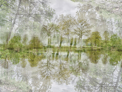 The Guardiens Romy Pfeifer