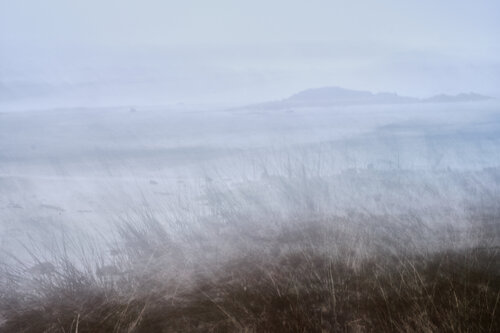 Magic Morning von Romy Pfeifer, Fotografie kaufen auf Singulart