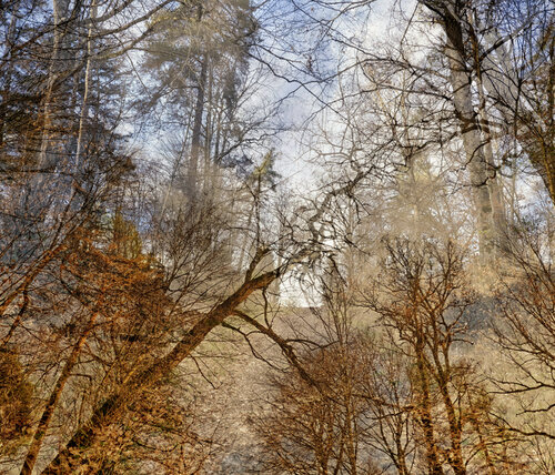 The Beginning von Romy Pfeifer, Fotografie kaufen auf Singulart
