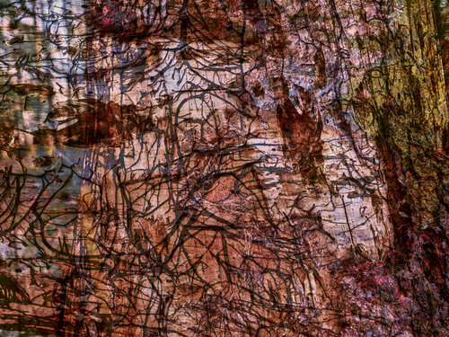 Art of Nature IV by Romy Pfeifer, Photography for Sale on Singulart
