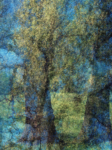Wisdom von Romy Pfeifer, Fotografie kaufen auf Singulart