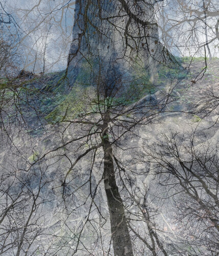 The Strong and the Fragile Ones von Romy Pfeifer, Fotografie kaufen auf Singulart