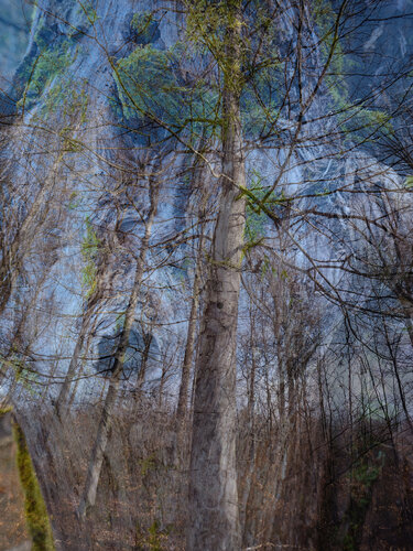 Everything is in Flow von Romy Pfeifer, Fotografie kaufen auf Singulart