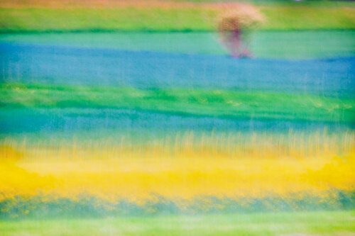 Rapsfeld III von Romy Pfeifer, Fotografie kaufen auf Singulart