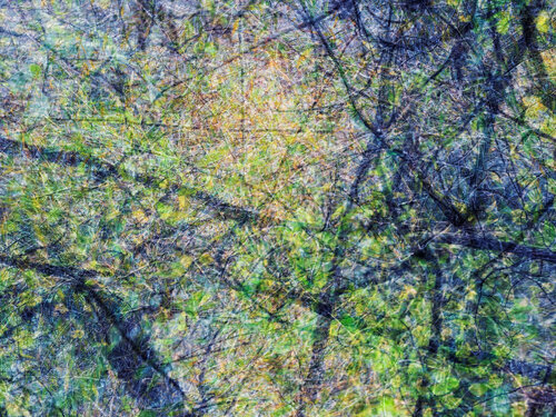 Hypnosis von Romy Pfeifer, Fotografie kaufen auf Singulart