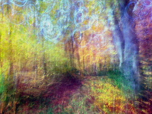 Fairytale von Romy Pfeifer, Fotografie kaufen auf Singulart