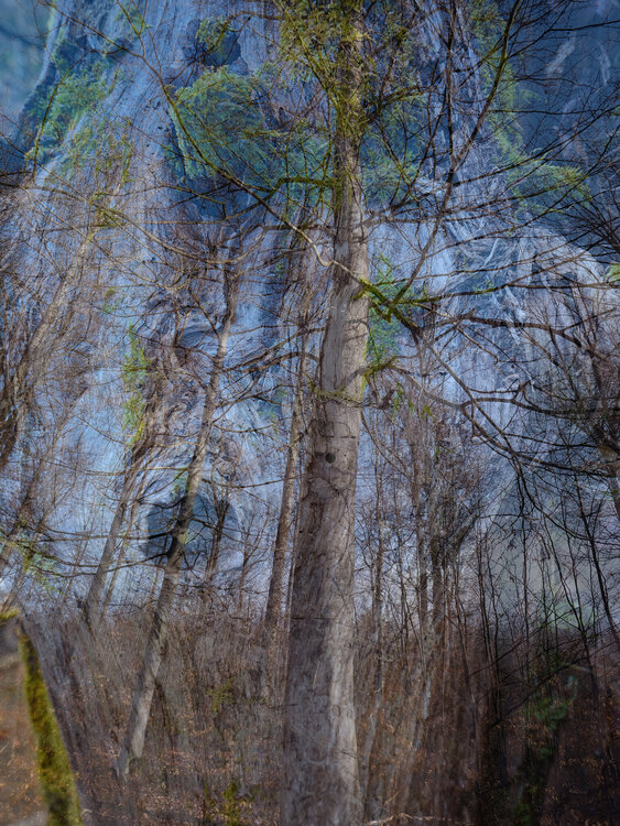 Everything is in Flow Romy Pfeifer