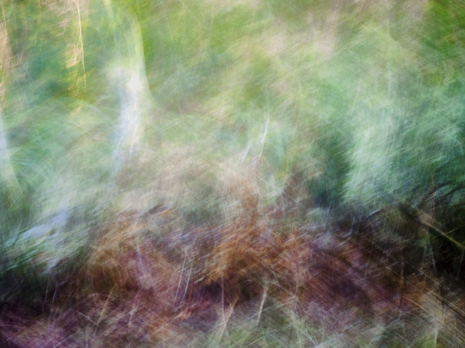 Peace Romy Pfeifer