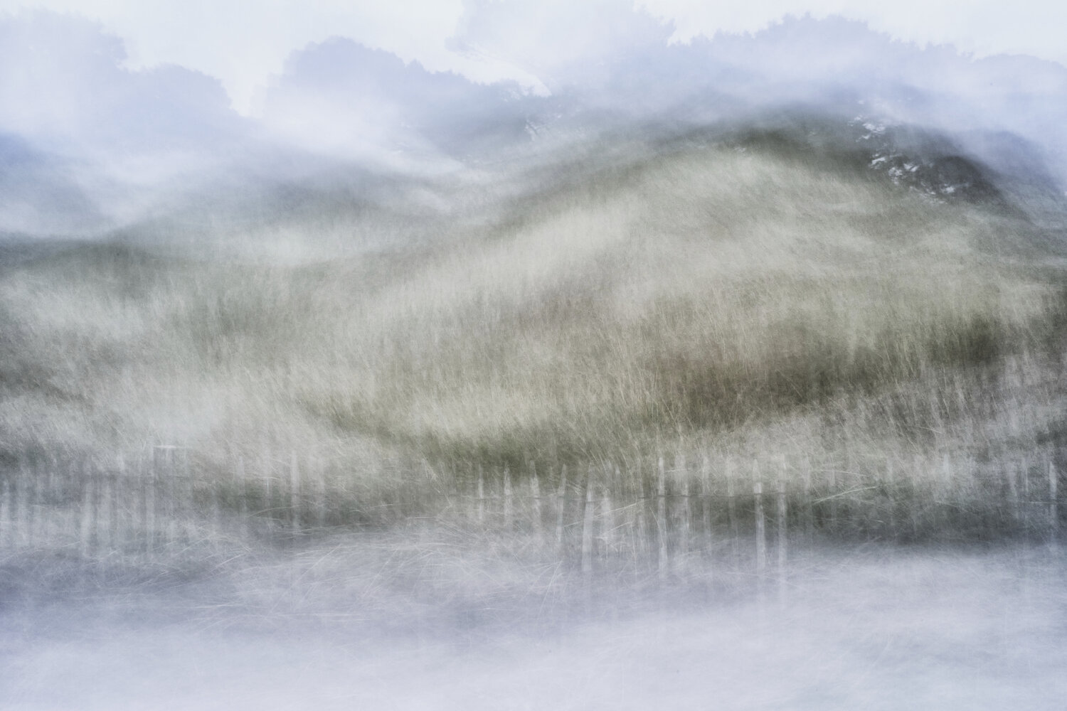 Dunes by the Sea Romy Pfeifer