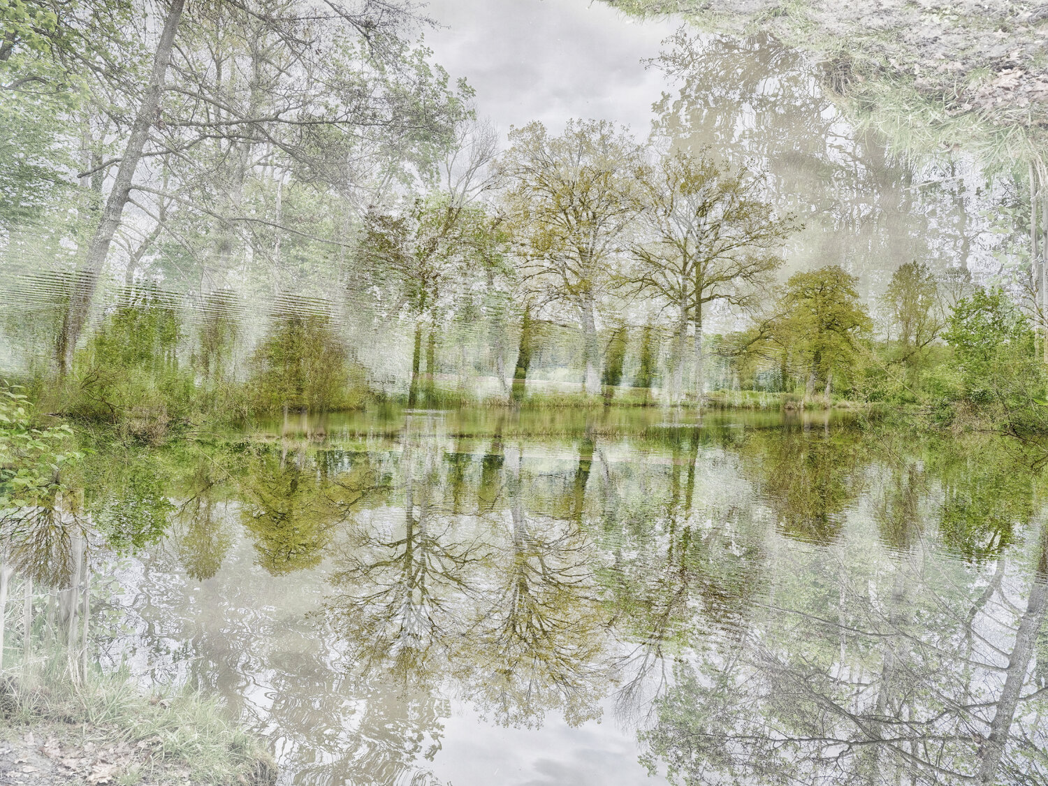 The Guardiens Romy Pfeifer