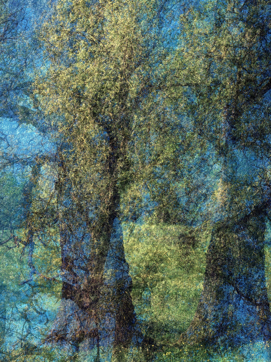 Wisdom Romy Pfeifer