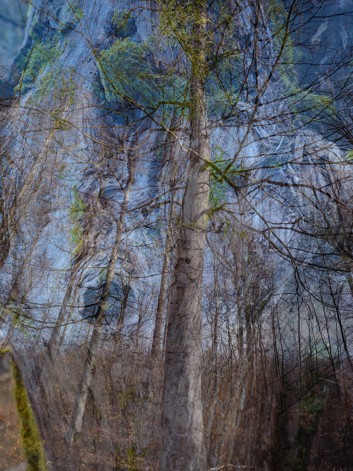 Everything is in Flow Romy Pfeifer