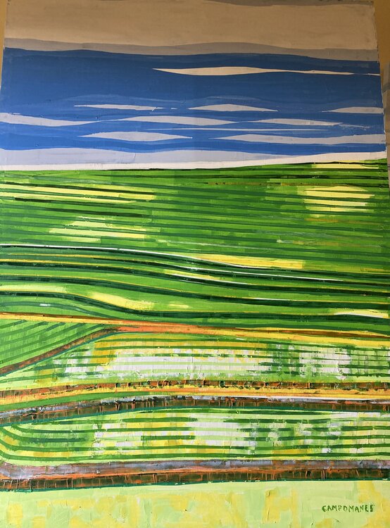 Bancales  de Indonesia. Bali Jose Ramon Campomanes