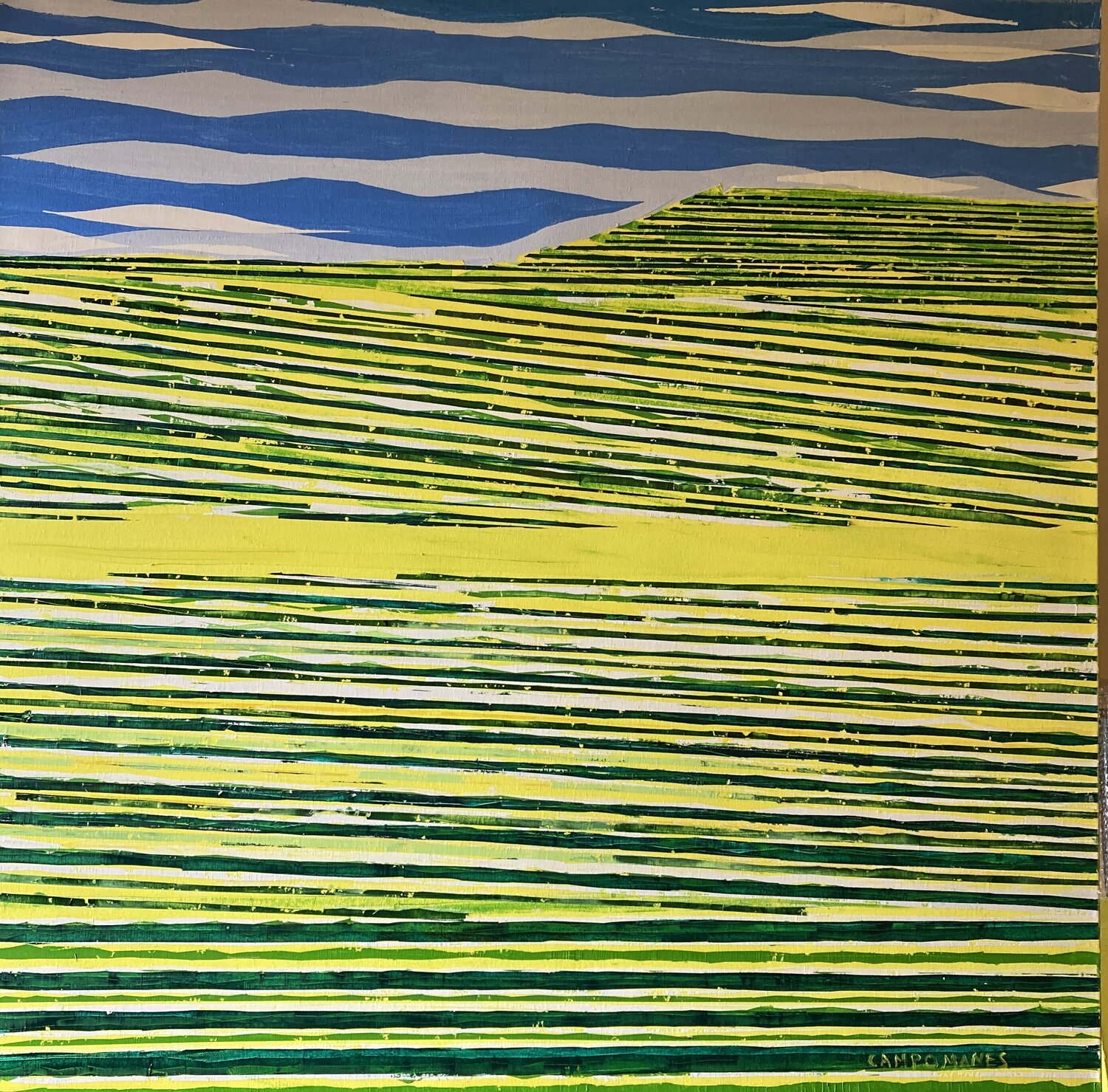 “ Campos de cultivo” Jose Ramon Campomanes