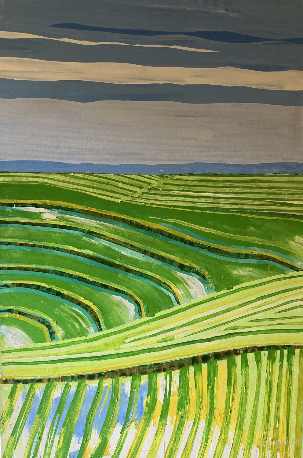 Campos de cultivo III Jose Ramon Campomanes