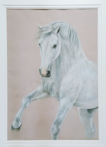 Prinz II by Michaela Stocker, Painting for Sale on Singulart