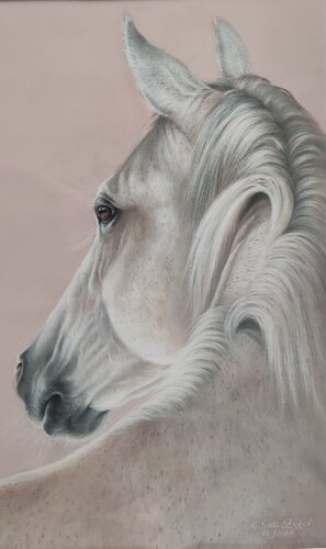 Prinz III by Michaela Stocker, Painting for Sale on Singulart