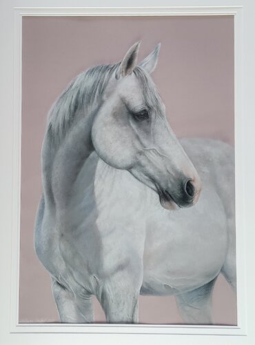 Prinz I by Michaela Stocker, Painting for Sale on Singulart