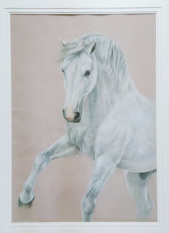 Prinz II Michaela Stocker