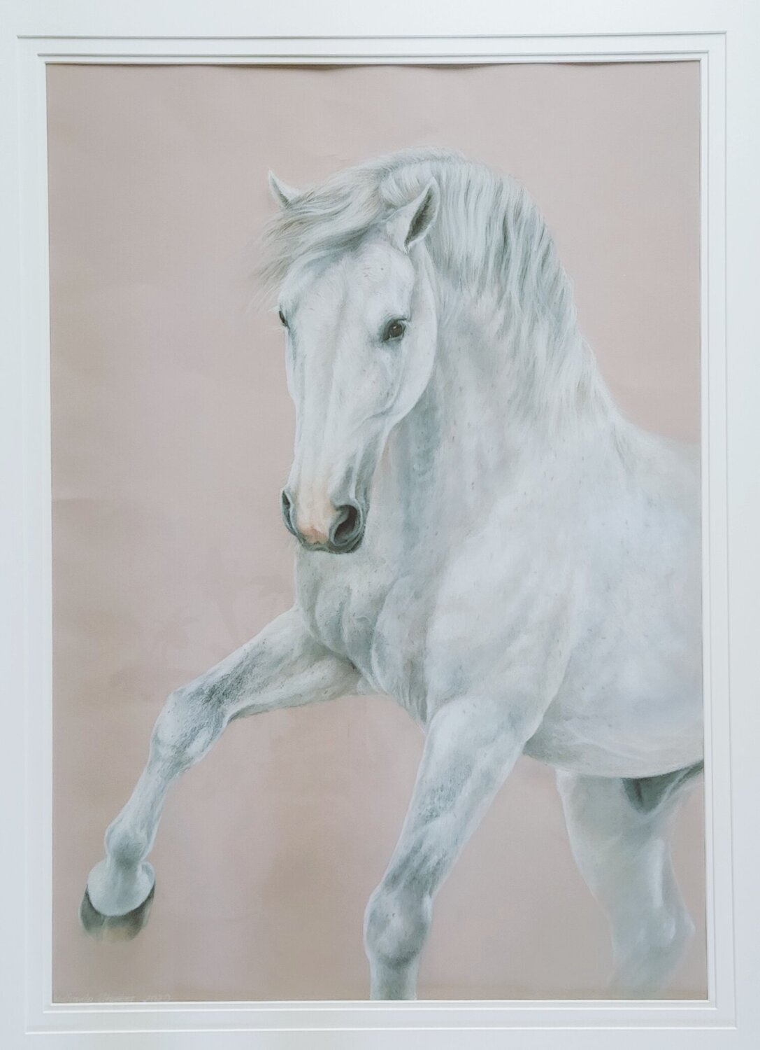 Prinz II Michaela Stocker