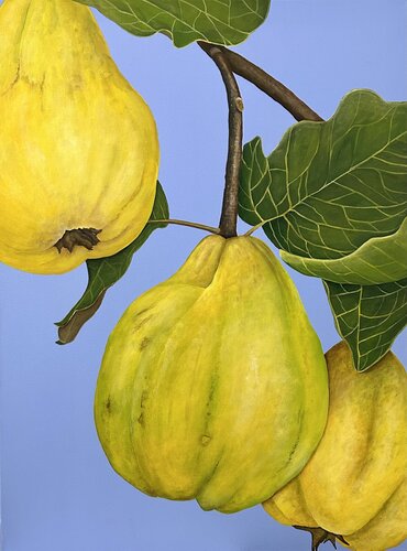 Quitten am Zweig van Silvia Mende, Schilderij te koop op Singulart