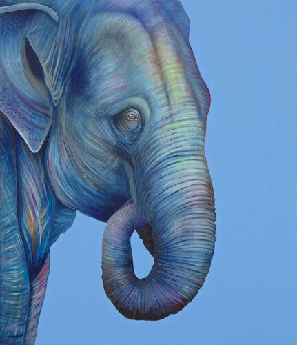 Elephant par Silvia Mende, Peinture en vente sur Singulart