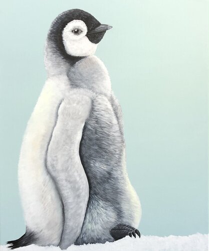 Junger Pinguin di Silvia Mende, Pittura in vendita su Singulart