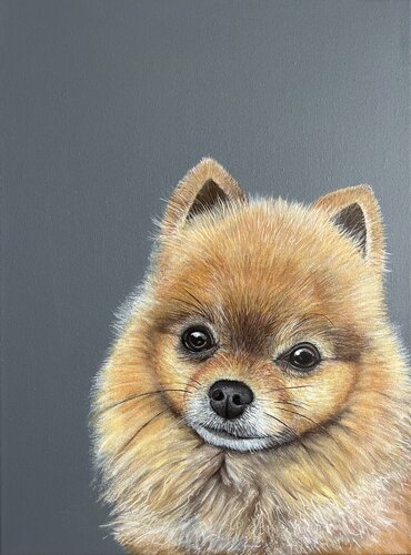 Leo van Silvia Mende, Schilderij te koop op Singulart