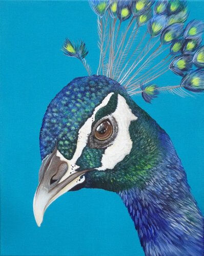 Pfau von Silvia Mende, Malerei kaufen auf Singulart