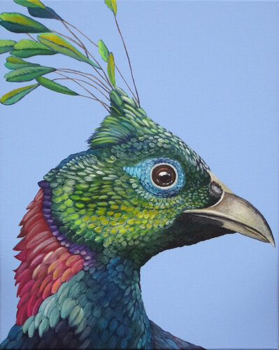 Himalaya-Pfau by Silvia Mende, Painting for Sale on Singulart