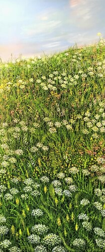 Kerbel am Abend by Silvia Mende, Painting for Sale on Singulart