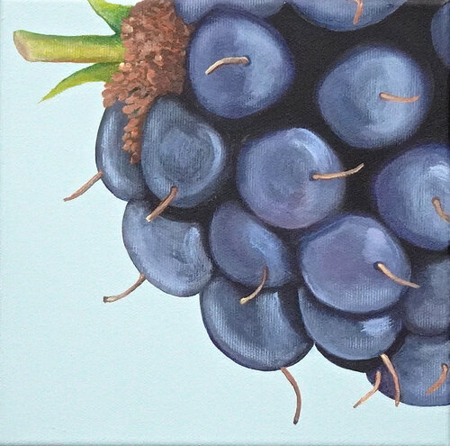 Brombeere par Silvia Mende, Peinture en vente sur Singulart