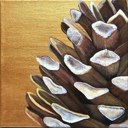 Föhrenzapfen 2 Silvia Mende