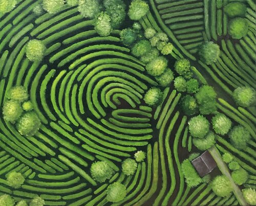 Apfelbaum-Plantage van Silvia Mende, Schilderij te koop op Singulart
