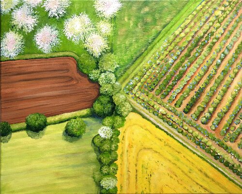 Wiesen und Felder aus der Luft von Silvia Mende, Malerei kaufen auf Singulart