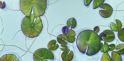 Lotusblätter in grossem Teich van Silvia Mende, Schilderij te koop op Singulart