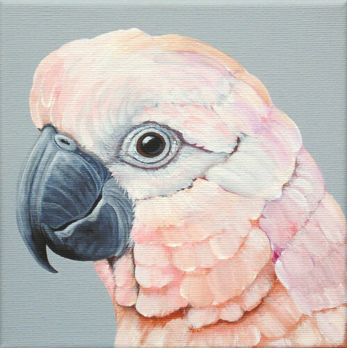 Kakadu van Silvia Mende, Schilderij te koop op Singulart