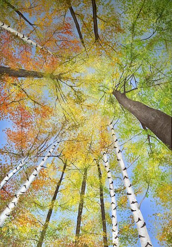 Frühherbst di Silvia Mende, Pittura in vendita su Singulart