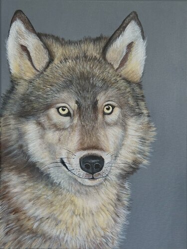 Wolf van Silvia Mende, Schilderij te koop op Singulart