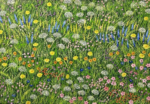 Bunte Wiese Silvia Mende