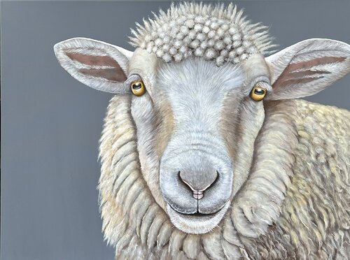 Merino-Schaf Silvia Mende