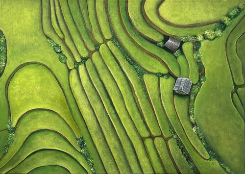 Reisfelder von Silvia Mende, Malerei kaufen auf Singulart