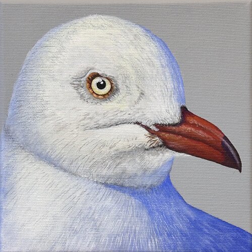 Möwe by Silvia Mende, Painting for Sale on Singulart