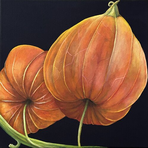 Physalis di Silvia Mende, Pittura in vendita su Singulart