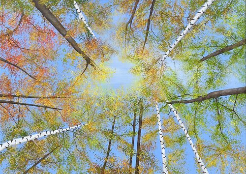 Herbstwald van Silvia Mende, Schilderij te koop op Singulart