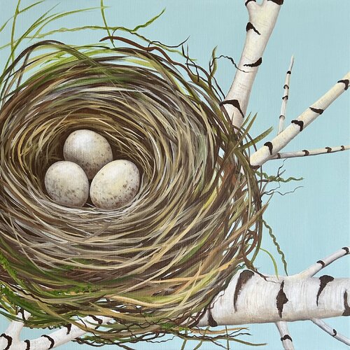 Nest im Birkenwipfel de Silvia Mende, Pintura a la venta en Singulart