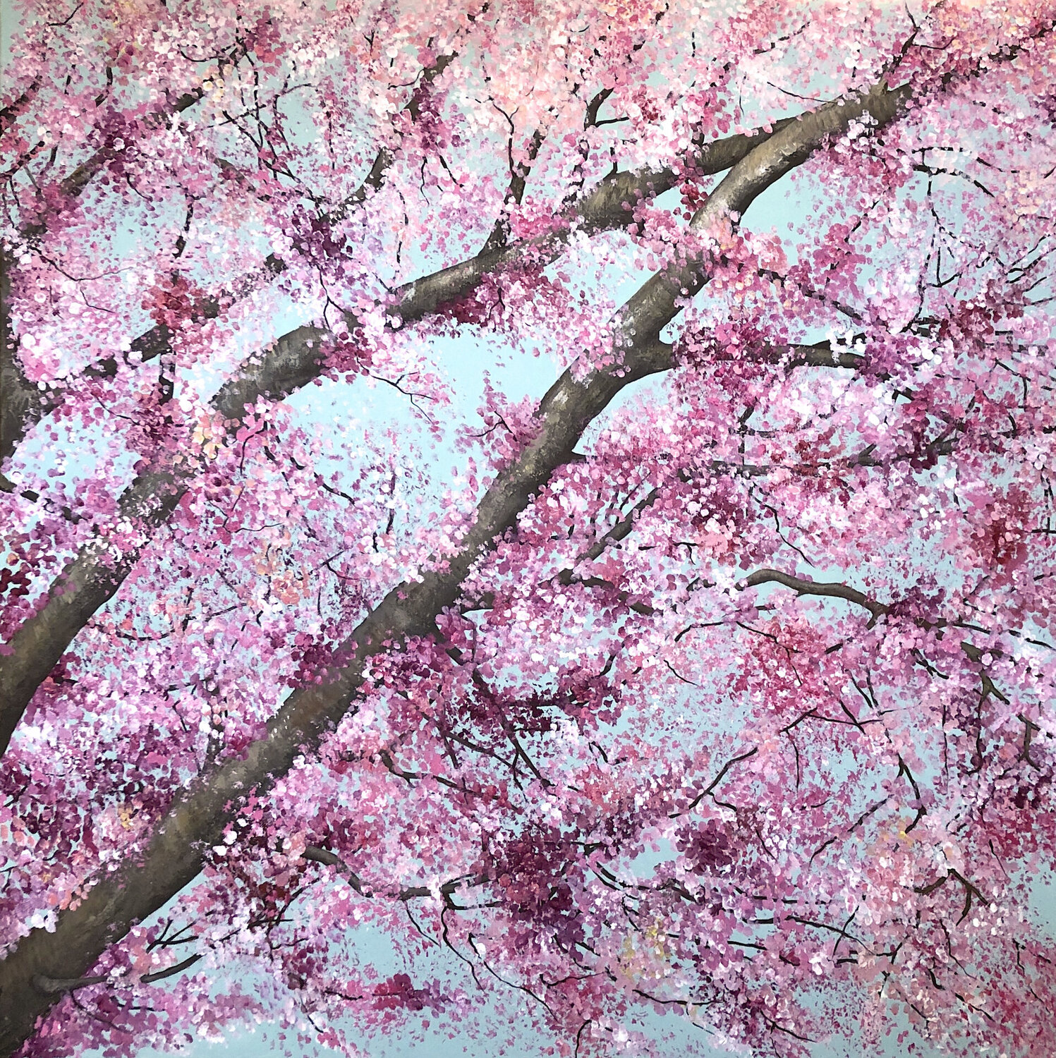 Kirschblüten Silvia Mende